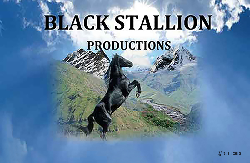 Go to the Black Stallion Productions website